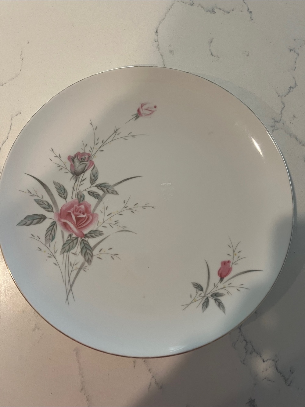 Floral Pink Rose Fine China Dinner Plate with Silver Rim.
